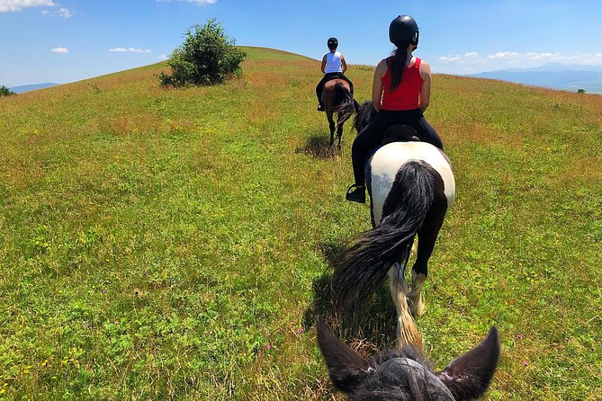 Horseback Riding Tour In Brasov - Ride Through Fields, Forests & Hills - Dining and Refreshments