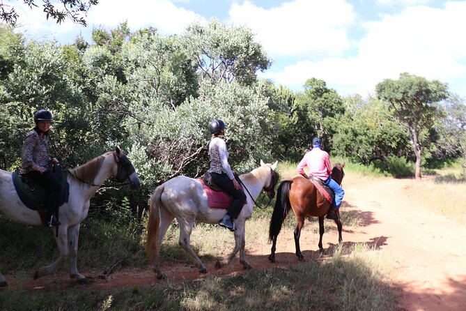 Horseback Safari Adventure in Hartbeespoort From Johannesburg - Frequently Asked Questions