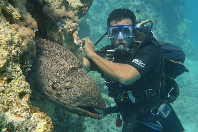 Hurghada Daily Scuba Dive Trip - Traveler Feedback and Recommendations