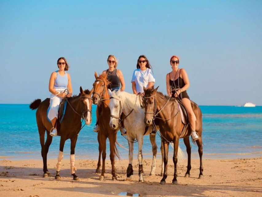 Hurghada: Desert and Sea Horseback Riding Tour With Transfer - Customer Feedback