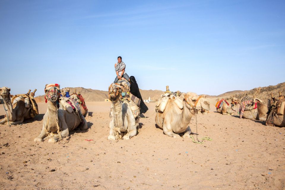 Hurghada: Desert Quad Bike Camel Ride With Optional Gopro - Booking and Pricing Information