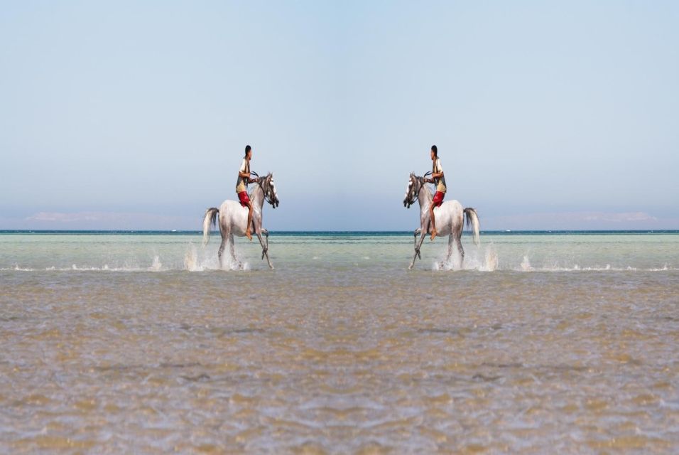 Hurghada: Horse Ride Along the Sea & Desert With Transfers - Ideal Participants