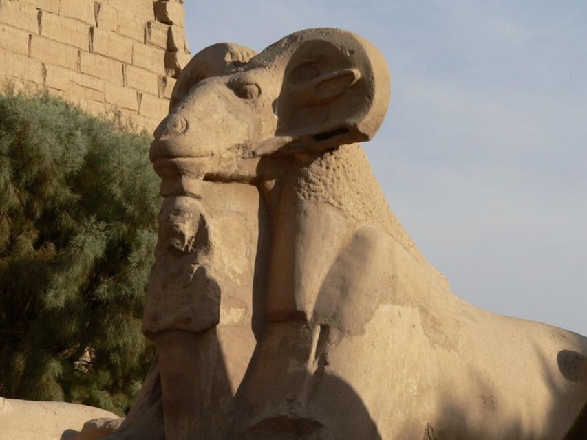 Hurghada: Luxor Valley of Queens, Hatshepsut, Karnak With Lunch - Visitor Experiences and Reviews