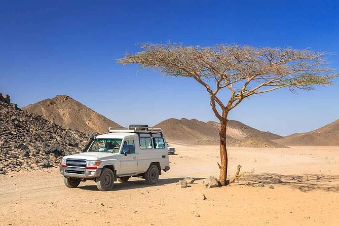 Hurghada: Safari 4x4 Jeep, Camel Ride, Dinner & Star Watching - Tips for a Great Experience