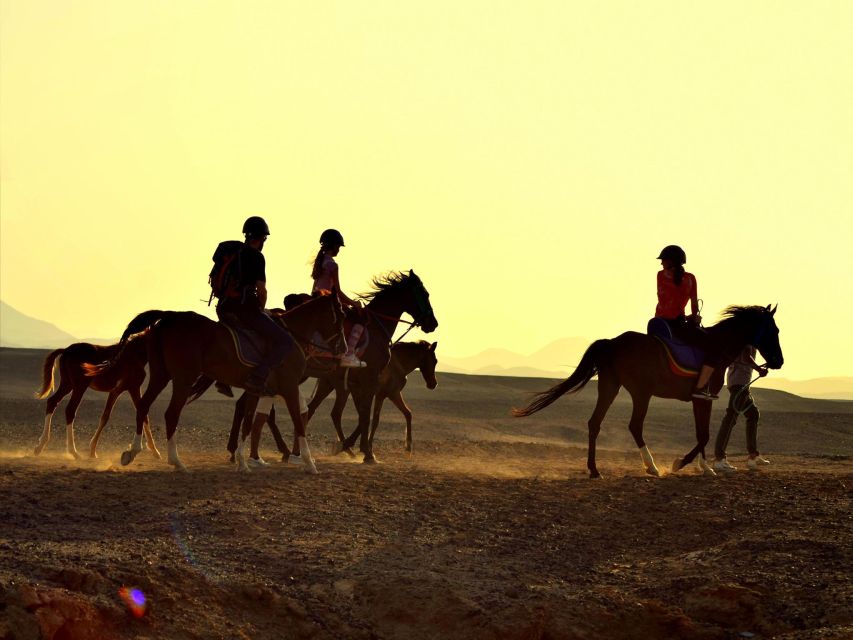 Hurghada: Sea & Desert Horse Tour, Stargazing, Dinner & Show - Pickup Locations