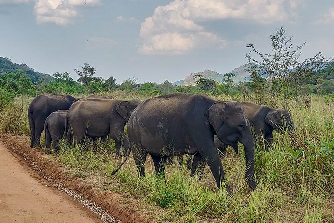 Hurulu Eco Park Private Safari - Conservation and Eco-Tourism Efforts