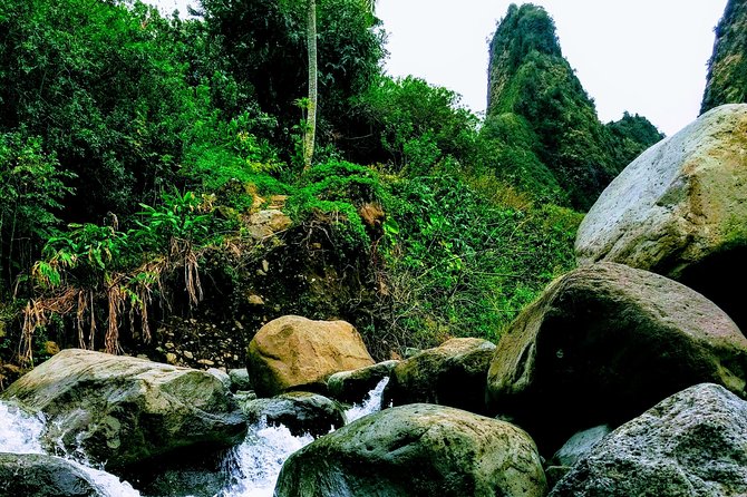 Iao Needle Gardens Streams Rainforest Walk & Bg Green Seaturtles - Sum Up