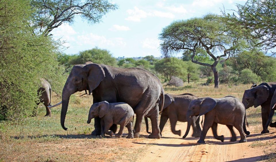 Isimangaliso Wetlands Park Full Day Tour From Durban - Booking Information