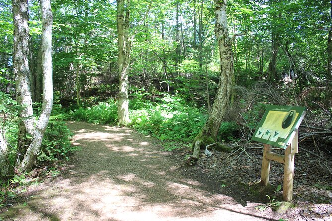 Island Drive & Anne of Green Gables Tour - Accessibility Features