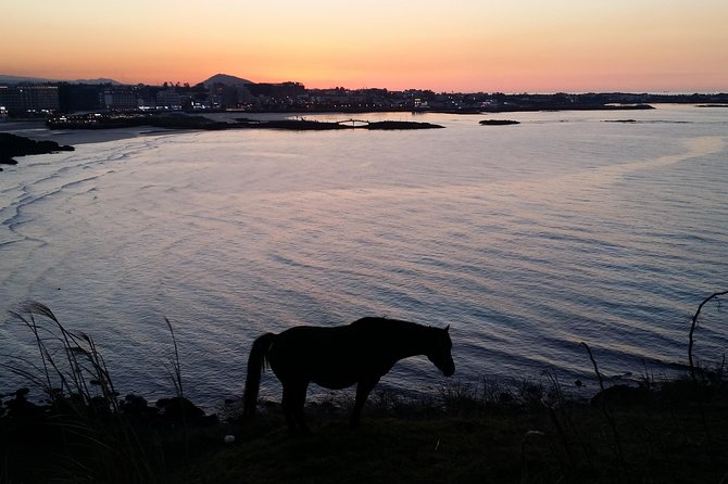 Jeju Island Guided Tour for 9 Hours With a Van - Booking and Cancellation Policy