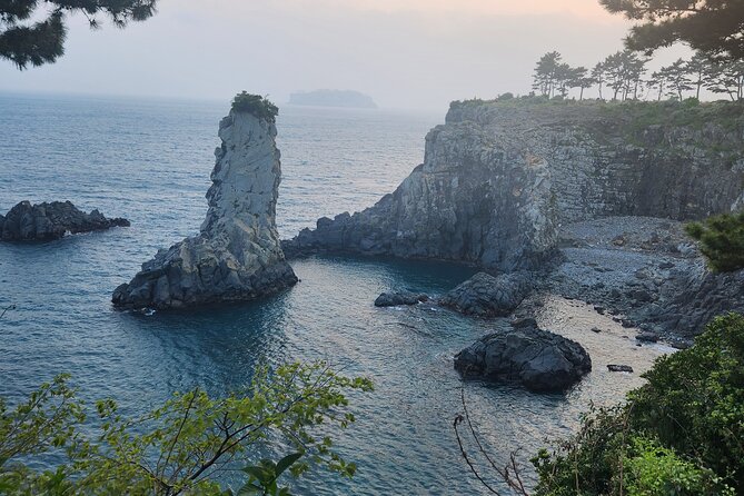 Jeju Island Southern Unesco Mt.Halla ONE Day Bus Tour - Accessibility Information