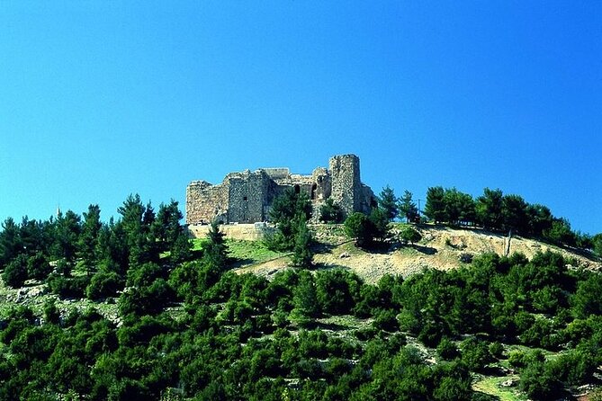 Jerash and Ajloun Castle Full Day Tour - Booking Details