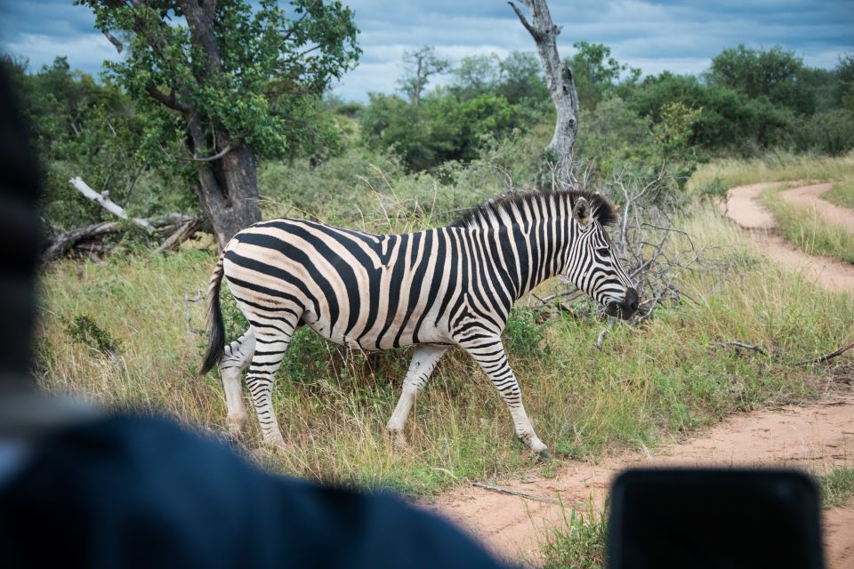 Johannesburg: 3-Day Classic Kruger National Park Safari Tour - Accessibility