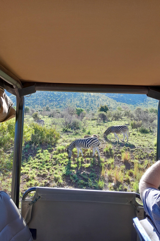 Johannesburg: 3 Hour Pilanesberg National Park Game Drive - Pricing and Booking Details