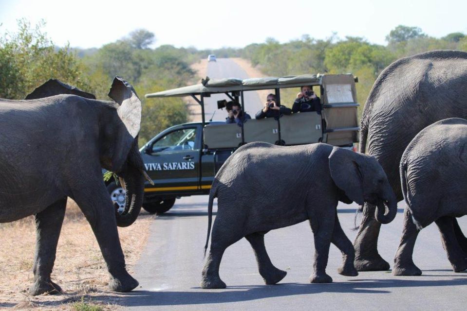 Johannesburg: 4-Day Classic Kruger National Park Safari - Accommodation Recommendations