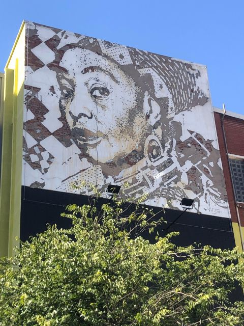 Johannesburg City Walking Excursion - Taking in the Maboneng Experience