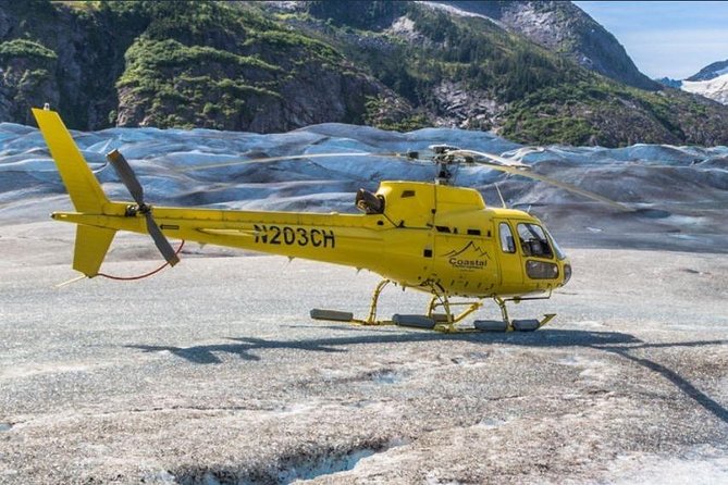 Juneau Shore Excursions: Helicopter Dogsledding Experience and Additional Glacier Landing - Tips for Your Trip