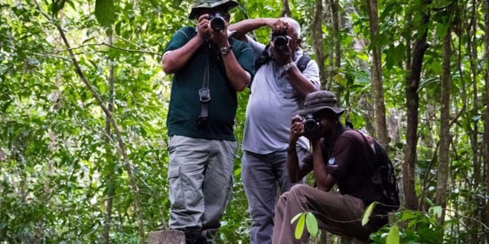 Kanneliya Forest Discovery: Guided Nature Expedition - Trekking Experience