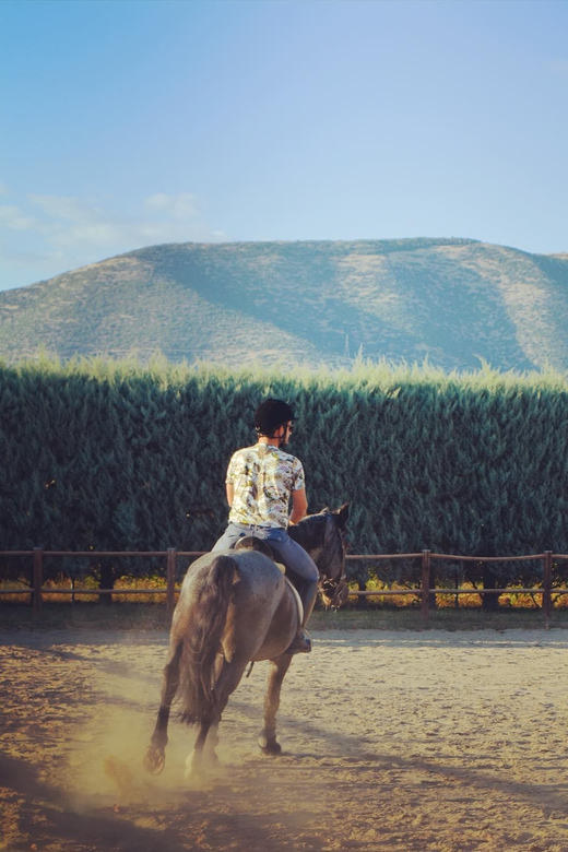 Kavala: FunDay - Chestnut Forest of Paleochori