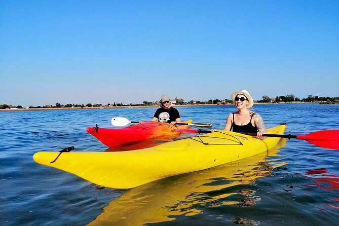 Kayak Discovery Tour in the Lagoon of Venice - Spotting Local Wildlife