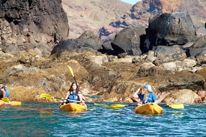 Kayak Experience @ Ponta De São Lourenço - Review Insights and Feedback
