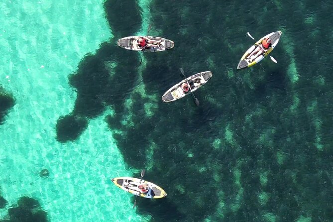 Kayak Tour in Golfo Aranci With Aperitif and Dolphin Watching - Participant Reviews and Testimonials