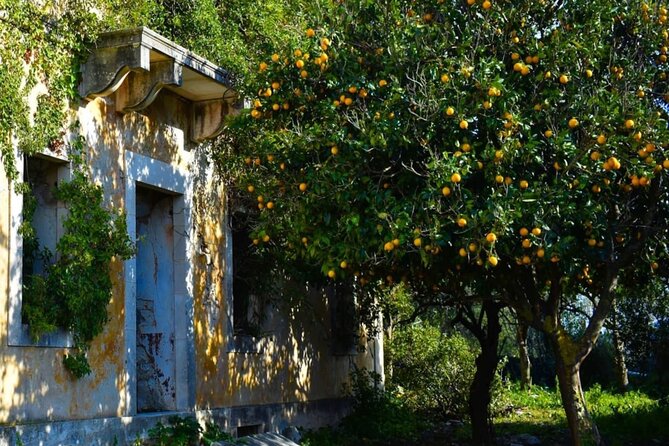 Kefalonias Natural Retreat: Castles, Hamlets, & Seaside Delights - Tour Specifications and Accessibility