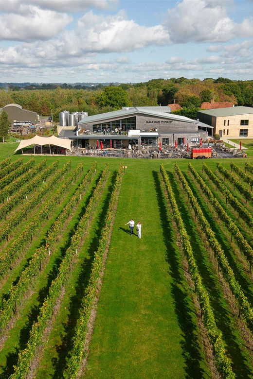 Kent: Balfour Vineyard Walk and Wine Tasting - Sum Up