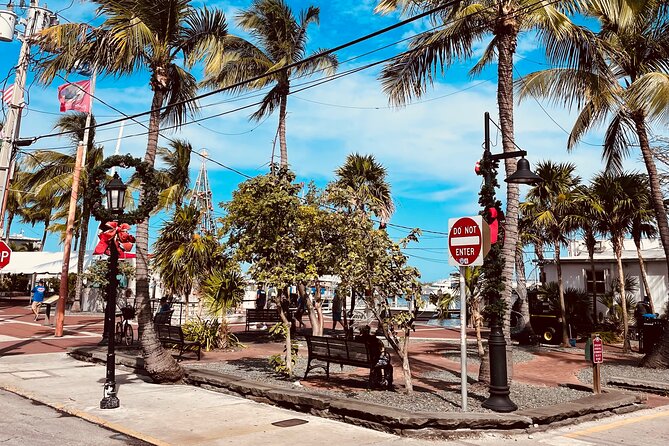 Key West Art History Private Tour - Accessibility Options