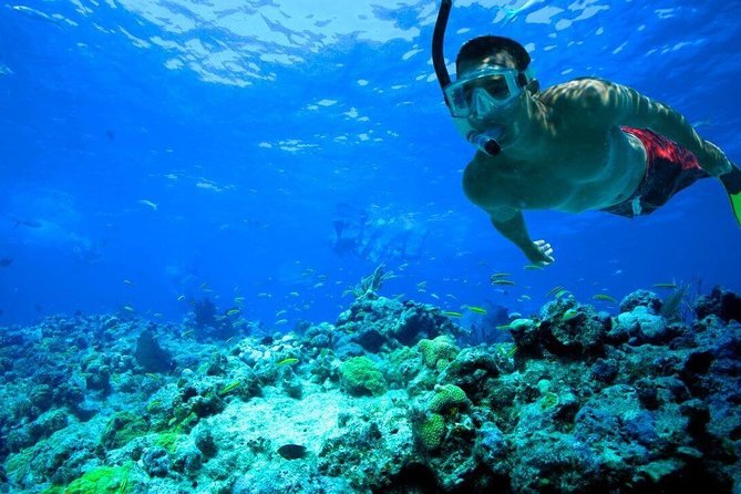 Key West Reef Snorkel – Morning Mimosas or Afternoon Margaritas - Drinks and Refreshments Onboard