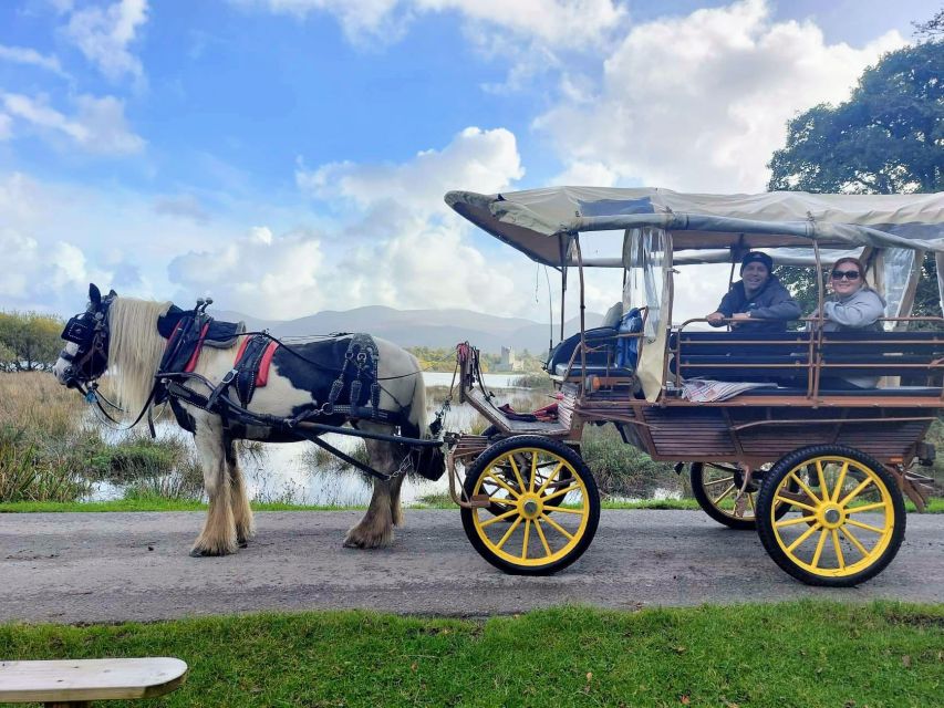 Killarney: Killarney National Park Private Tour - Tips for Your Visit