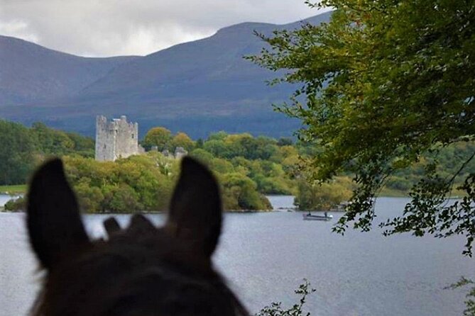 Killarney National Park Horseback Ride. Co Kerry. Guided. 3 Hours. - Booking and Cancellation Policy
