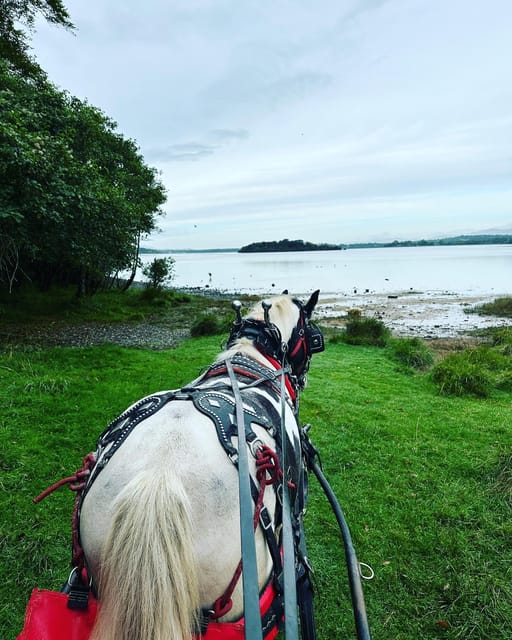 Killarney National Park Tour - Wildlife Spotting Opportunities