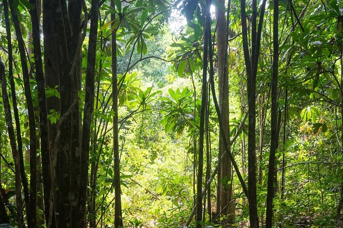 Kirirom National Park Private Day Tour From Phnom Penh - Traveler Requirements and Recommendations