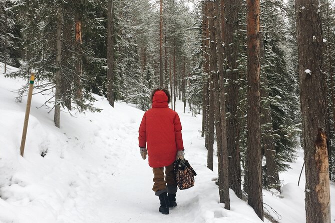 Korouoma National Park and Frozen Waterfalls Hiking Tour - Traveler Reviews and Ratings