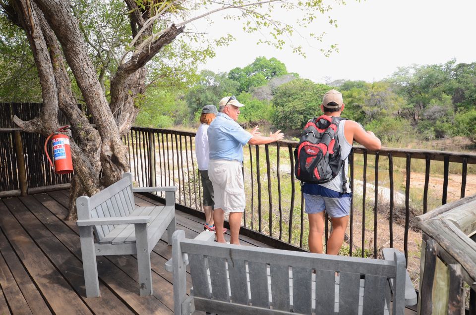 Kruger National Park: 3-Day Safari Tour and Treehouse Stay - Customer Feedback and Reviews