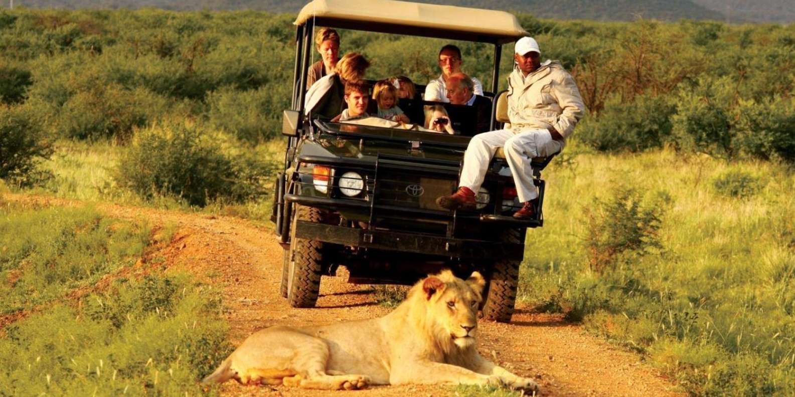 Kruger National Park & Blyde River Canyon 4 Day Safari - Wildlife in Kruger National Park