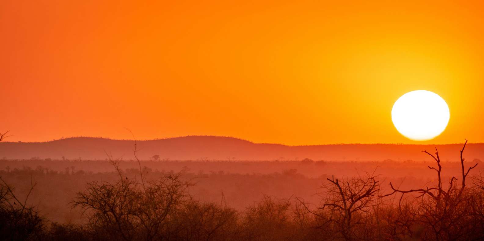 Kruger National Park Half Day - Customer Feedback