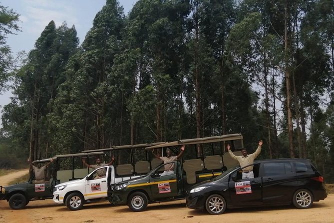 Kruger National Park Morning Safari 2 People Minimum - Tips for Your Safari