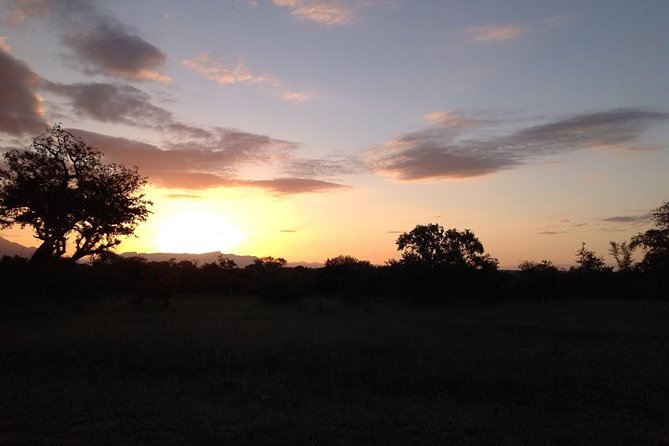 Kruger Park Safari: Guided Day Tour From Nelspruit - What to Expect