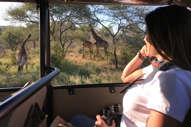 Kruger Safari Tour - Full Day - Tips for Your Tour