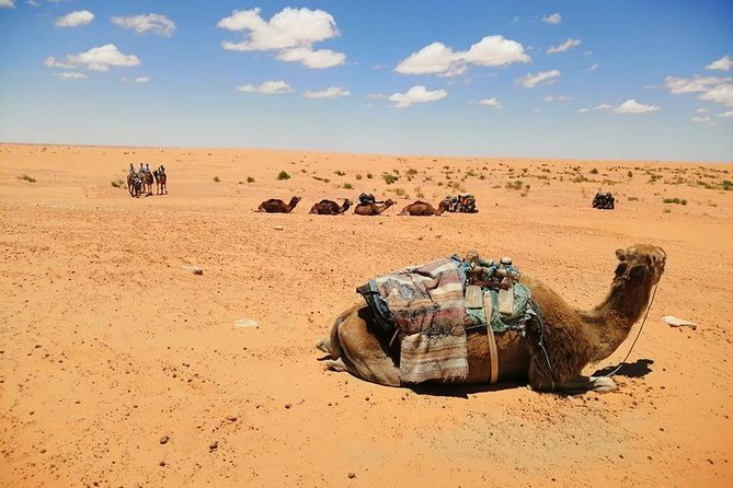 Ksar Ghilane 1 Day: the Hot Spring and the Homestay - Inclusions and Logistics
