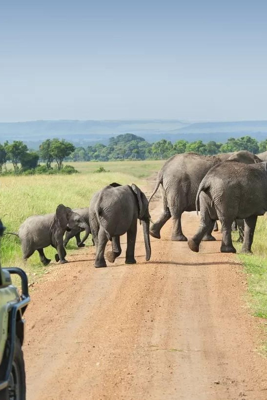 Kumana National Park: Morning Afternoon Leopard Safari (6h) - Customer Feedback