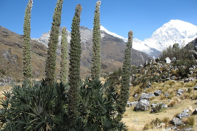Lake 69 Full-Day Hiking Tour From Huaraz - Preparing for the Hike