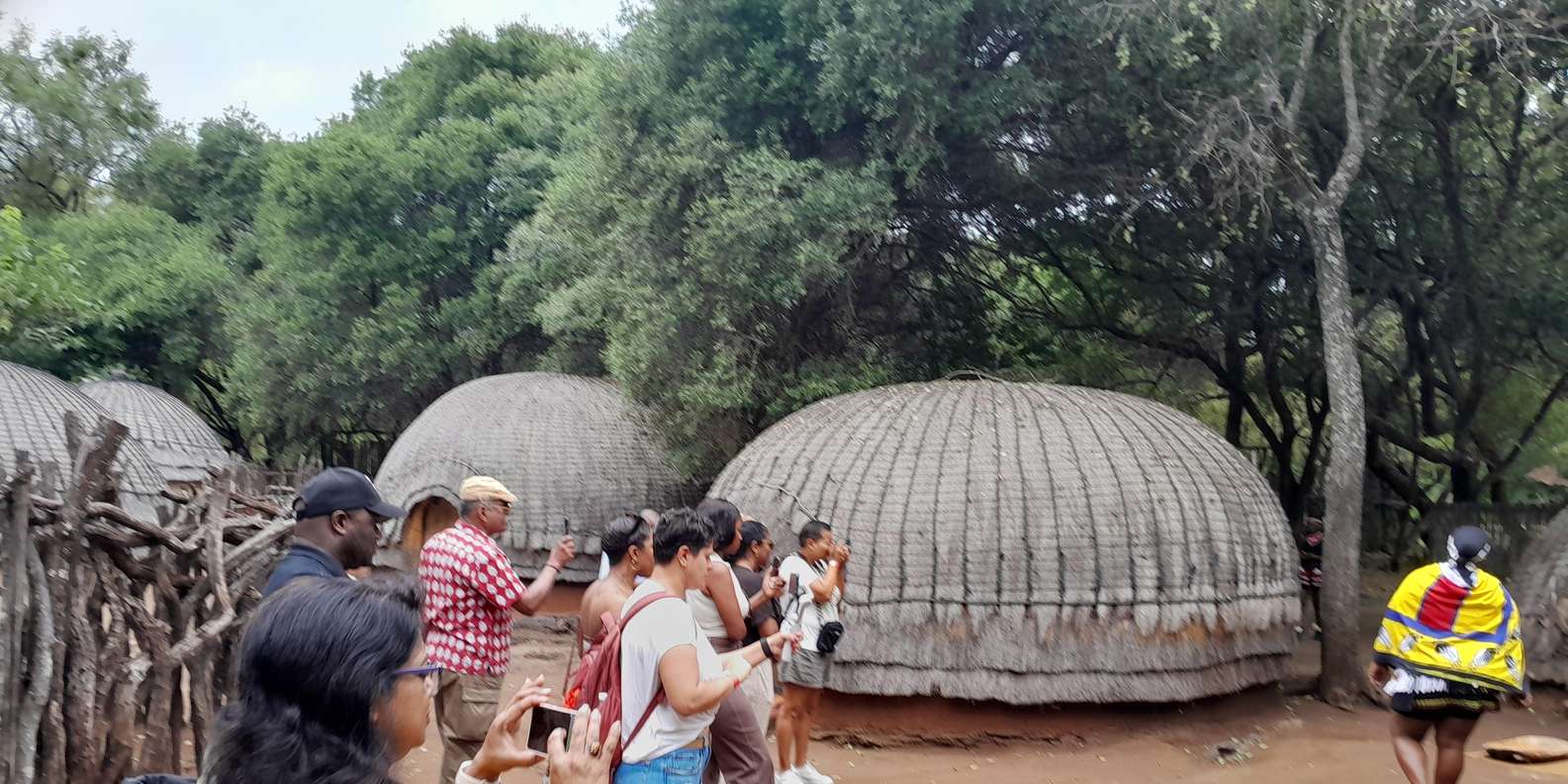 Lesedi Cultural Village and Lion Park Private Tour - Important Considerations