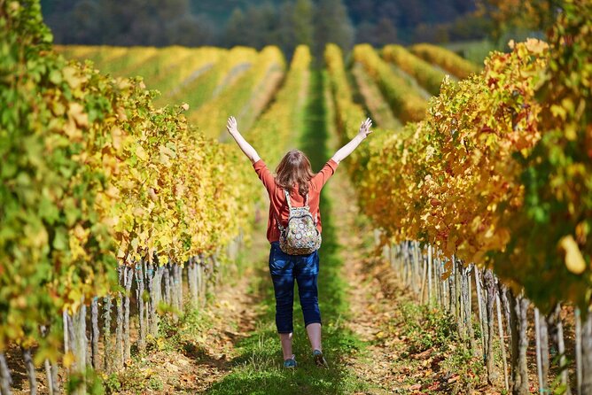 Livorno Shore Excursion: Pisa, Florence and Chianti Wine Private Day Trip - Winery Visit