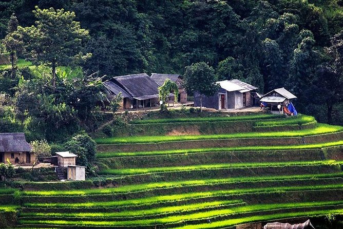 Local Experience in Sapa Trekking Tours - Local Culture and Experience