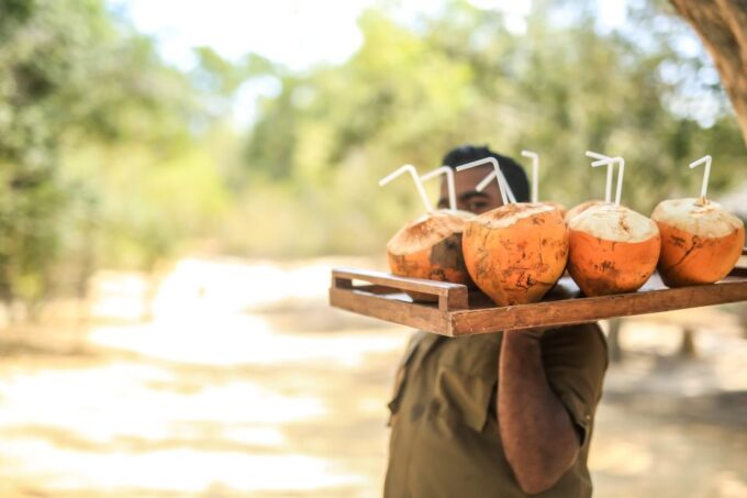 Luxury Camping and Safari Experience in Yala Park - Important Safety Considerations