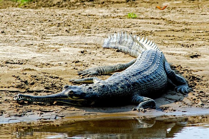 Luxury Chitwan Tour Package 2 Nights 3 Days From Kathmandu - Booking Information