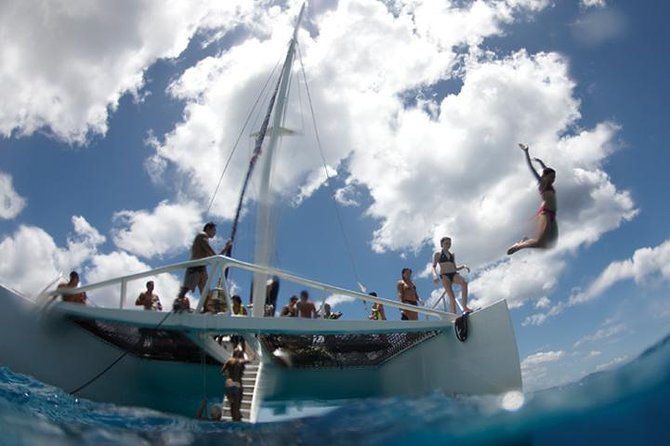 Luxury Hawaiian Sea Turtle, Dolphin Sail and Kona Snorkel - Traveler Feedback and Reviews